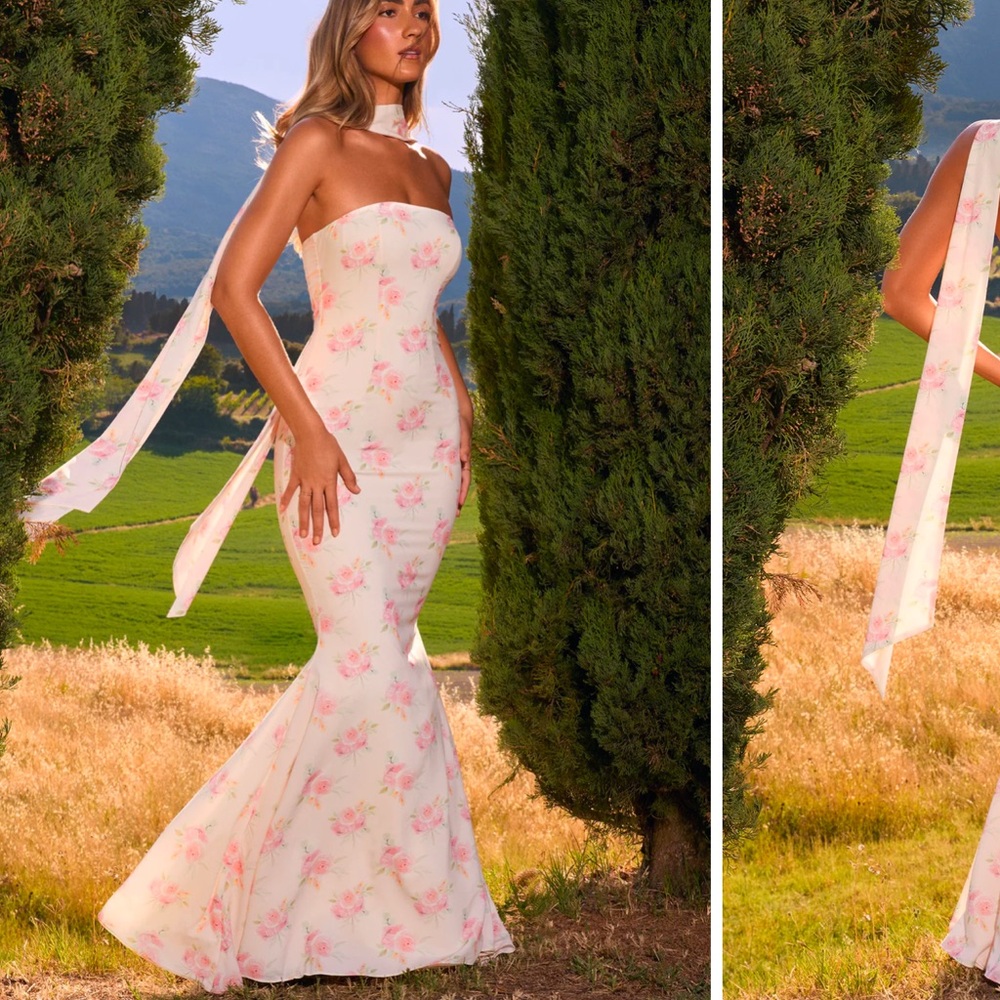 OHPOLLY ROSE PRINT STRAPLESS GOWN NWT